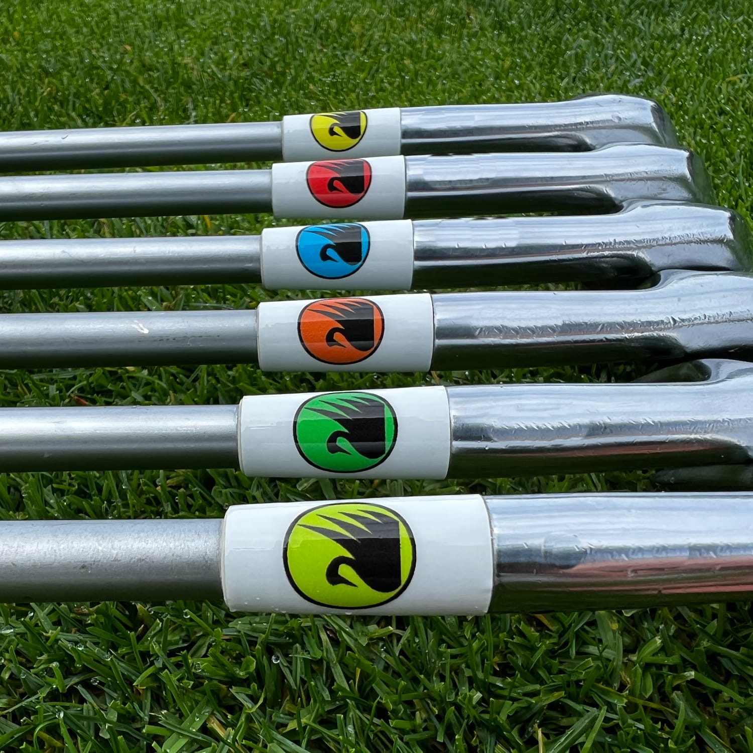 placeholder image-sq